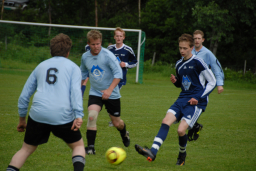 fiksrekvvil22011 022